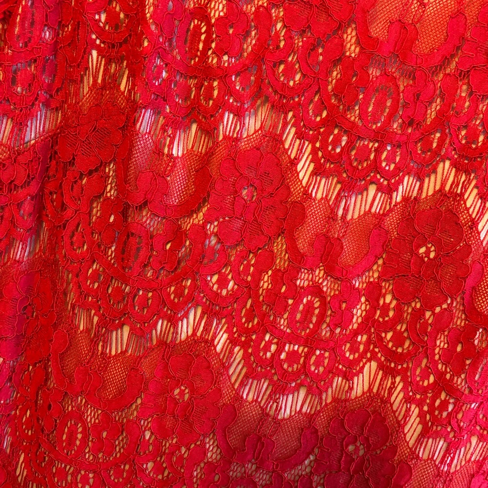 Betsy & Adam Red Lace Dress Size 4 - Picture 3 of 6